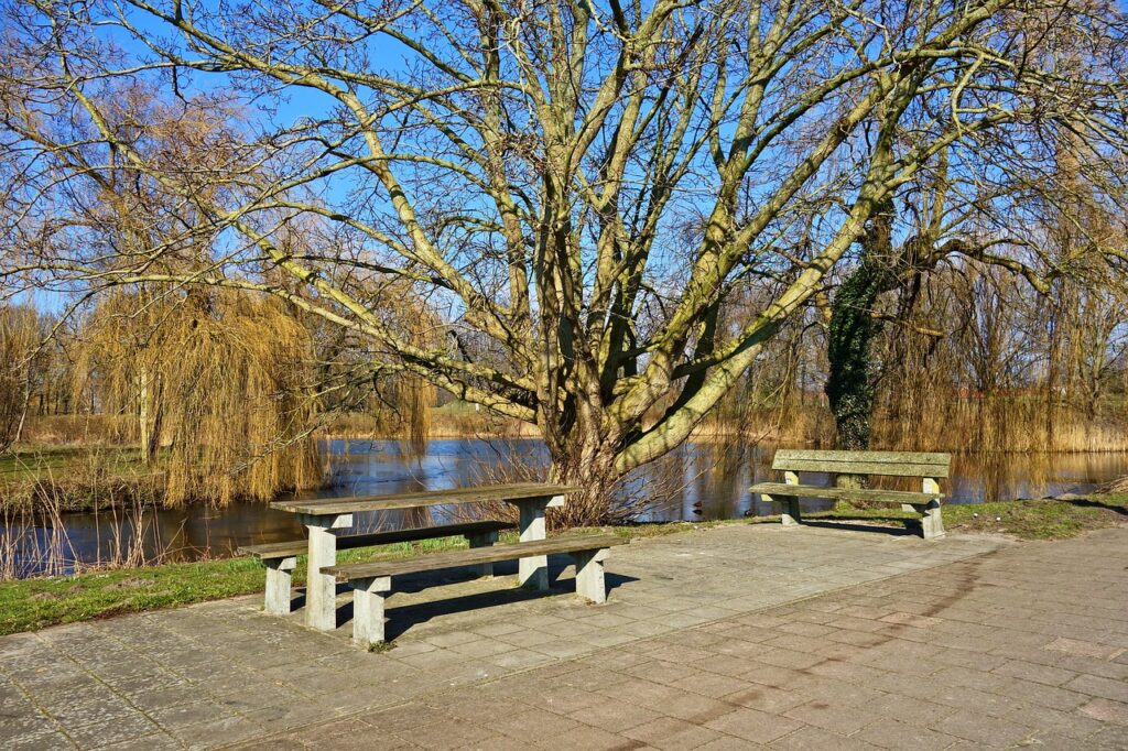 公園とベンチ